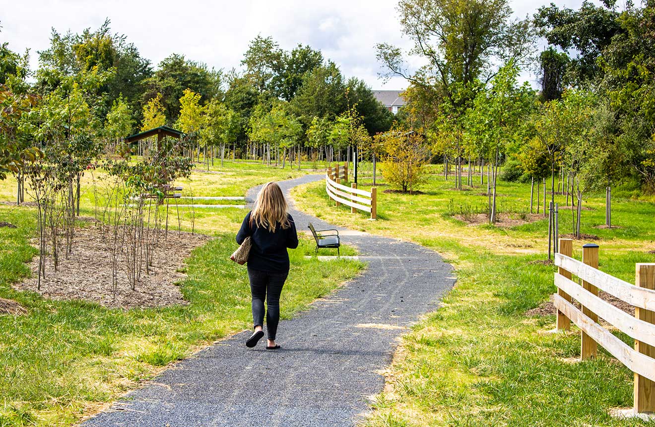 Walking path at Discovery Park