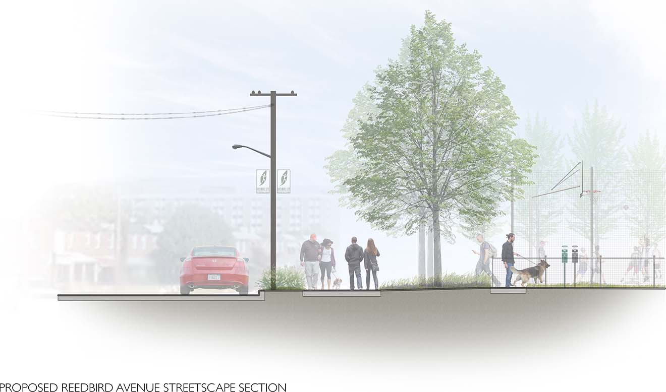 Proposed Reedbird Avenue Streetscape Section
