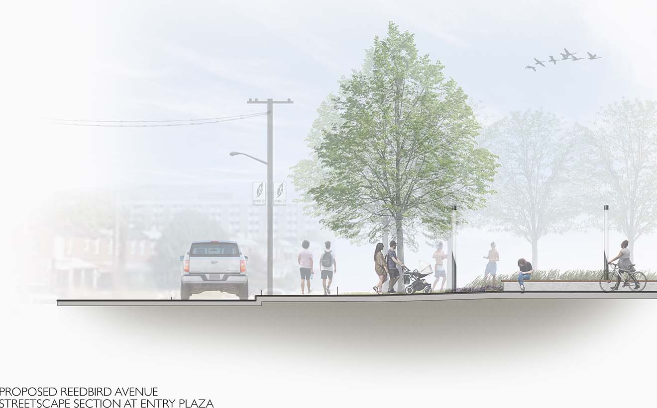 Proposed Reedbird Avenue Streetscape Section at Entry Plaza