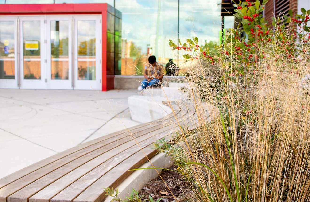 Ornamental grasses provide a soft background to the custom bench