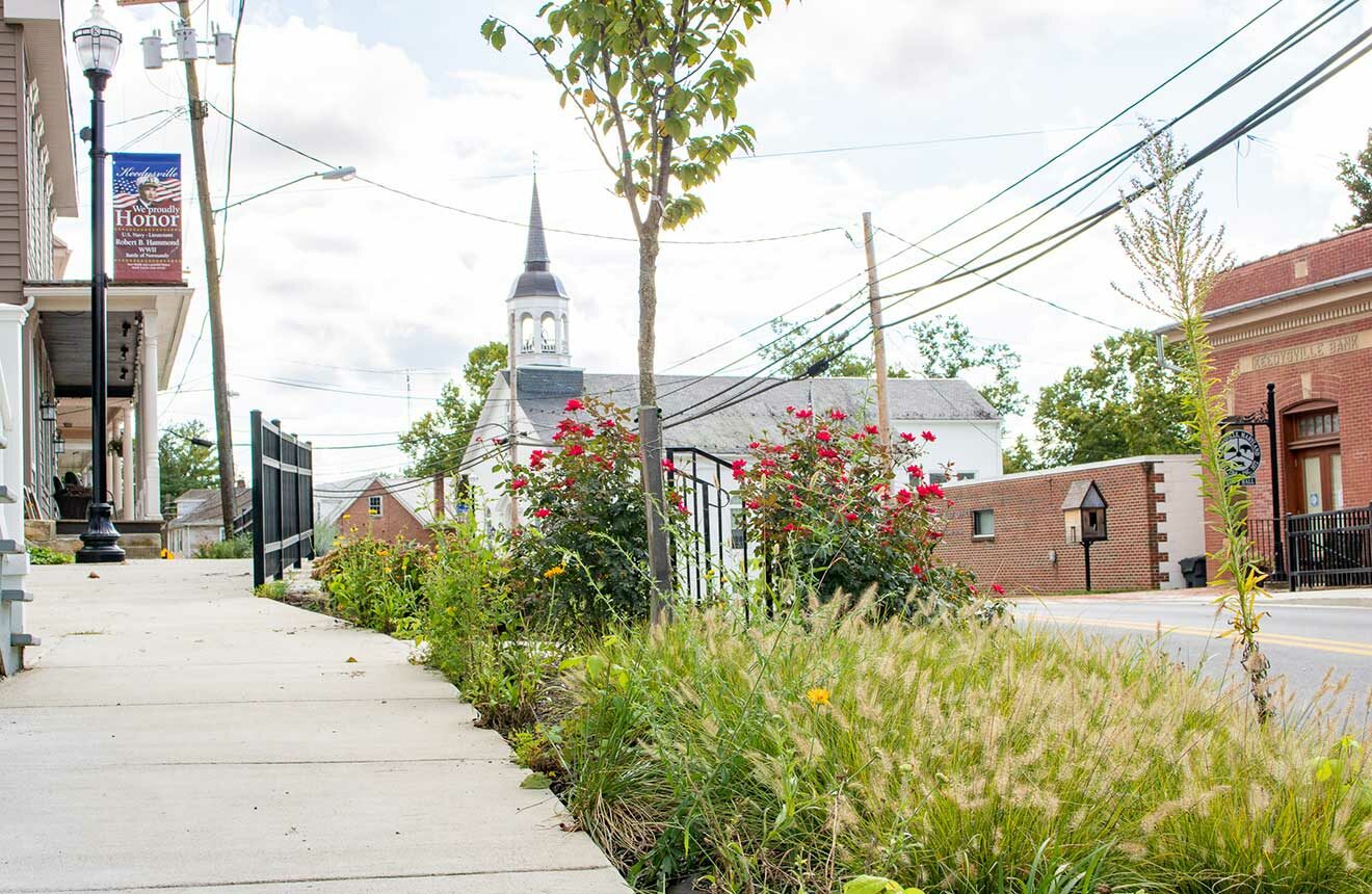 New dense plantings of grasses and perennials along the main street