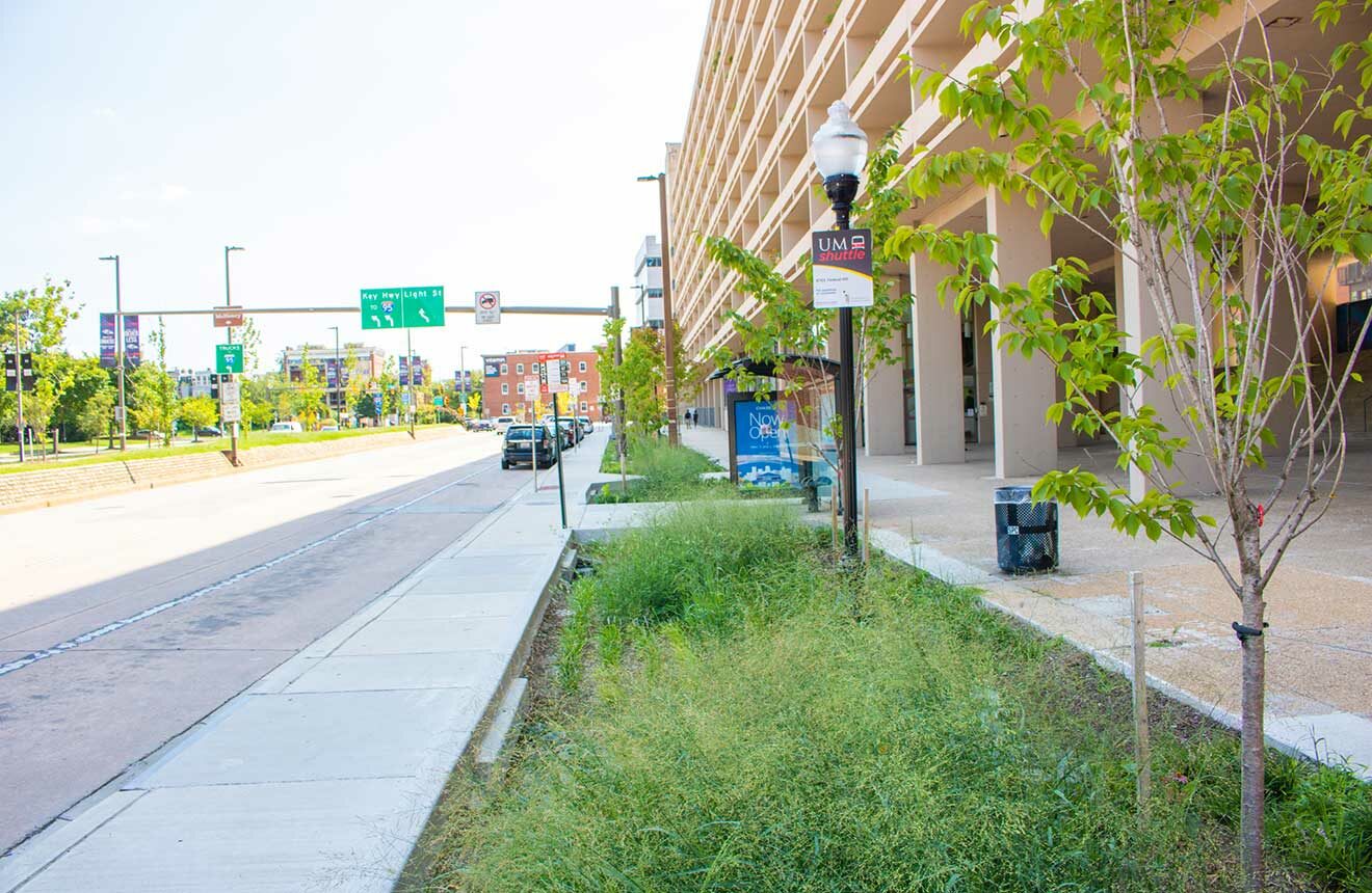 Stormwater managment along Light Street