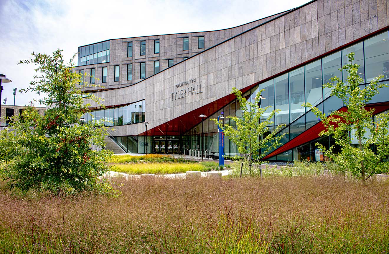 Stormwater Plantings in the Entry Forecourt