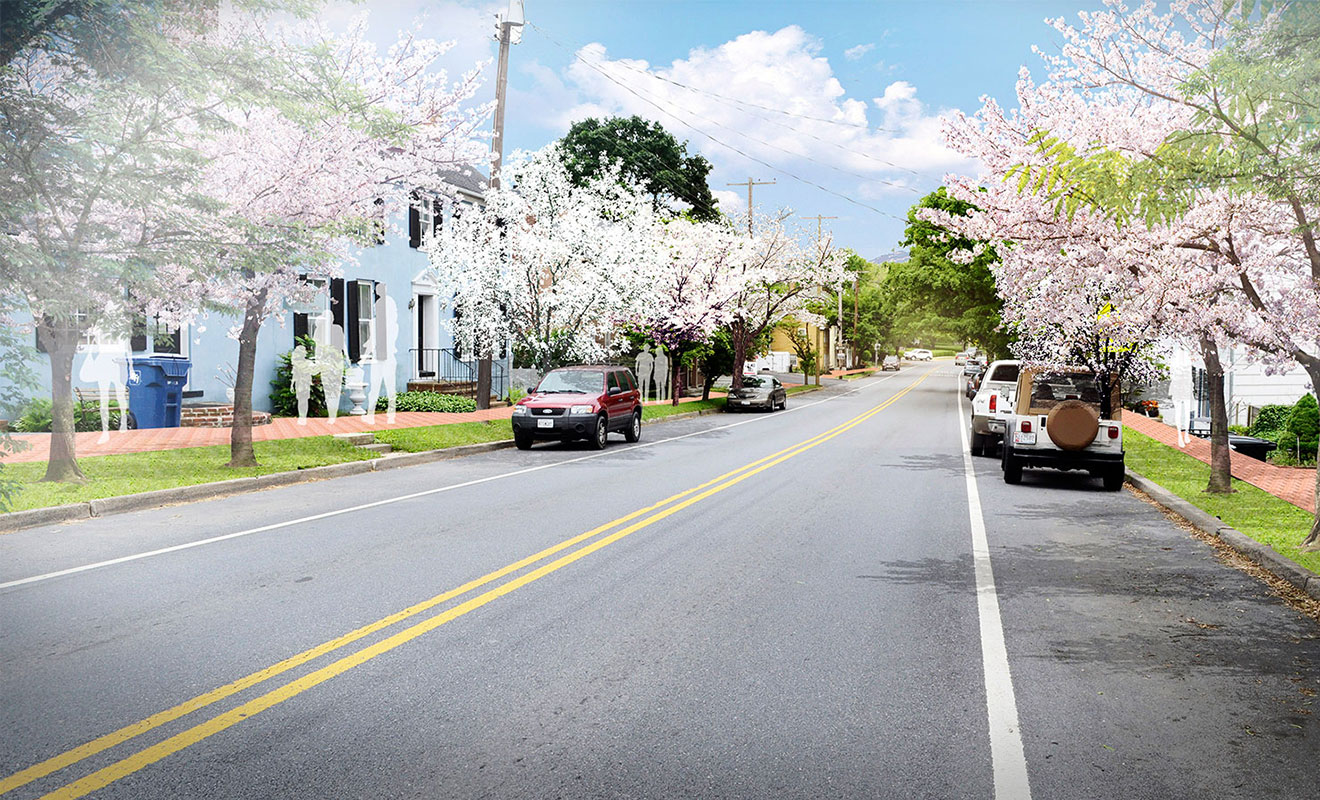 Rendering of proposed landscape improvements. New flowering trees