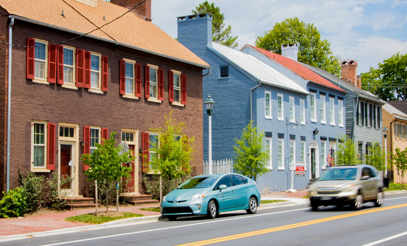 New Plantings along historic road