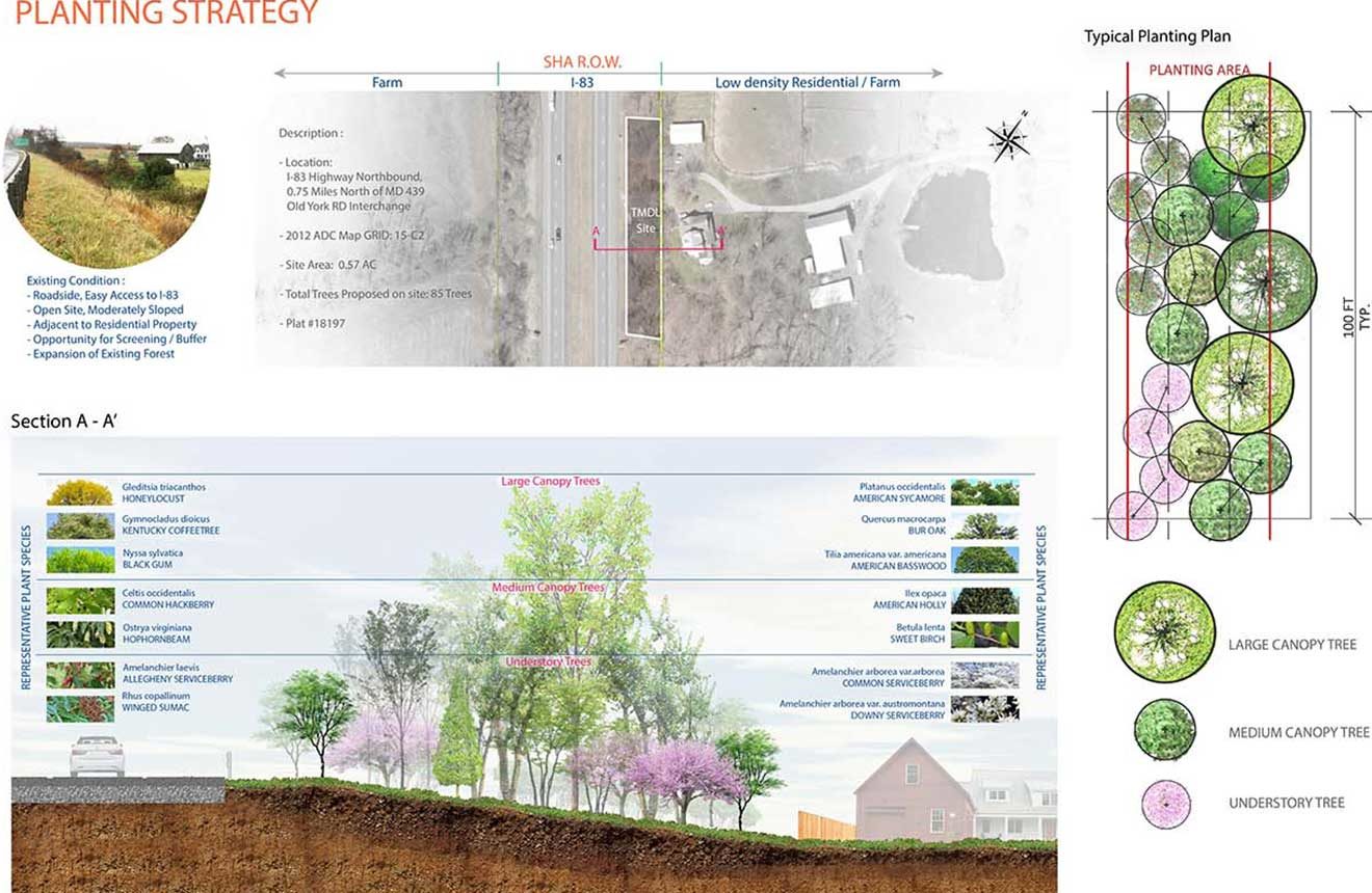 Planting Strategies