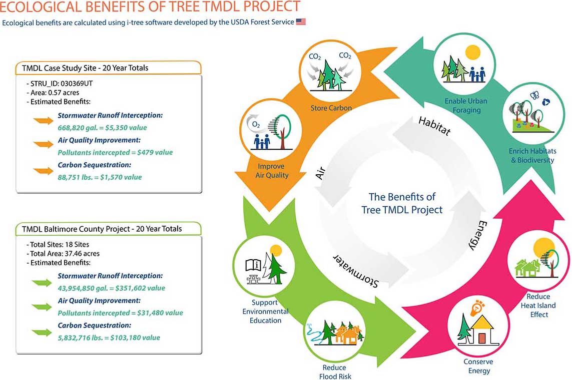 Ecological Benefits of Tree TMDL