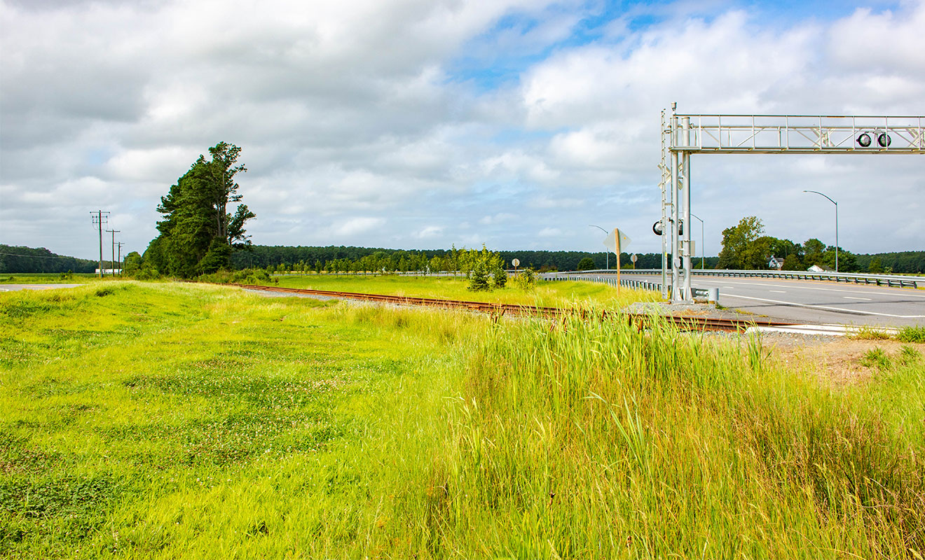 Train tracks crossing highway with meadow plantings