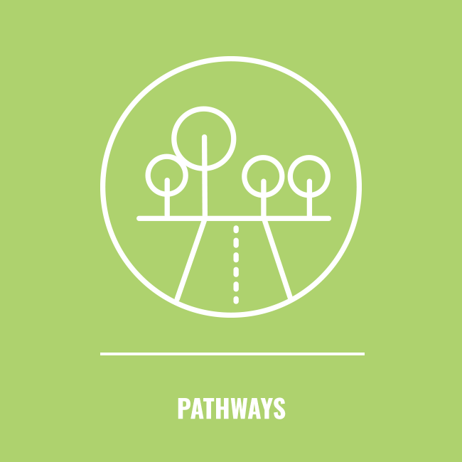 pathways icon