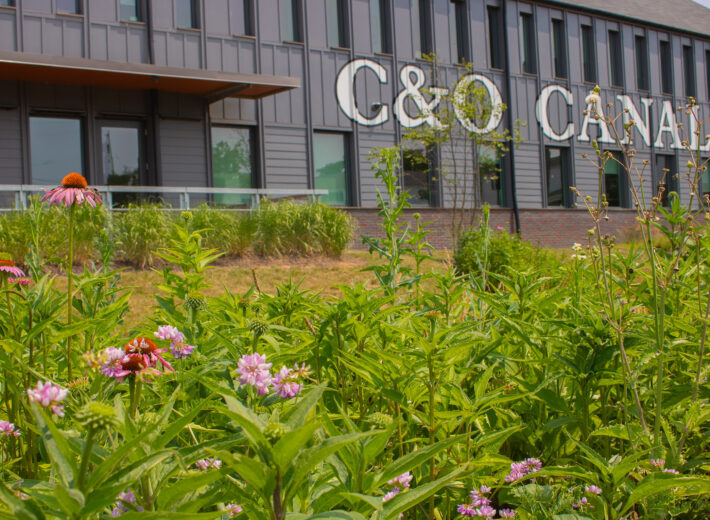 C&O Canal National Park Headquarters and Visitor Center Wins Two AIA Awards